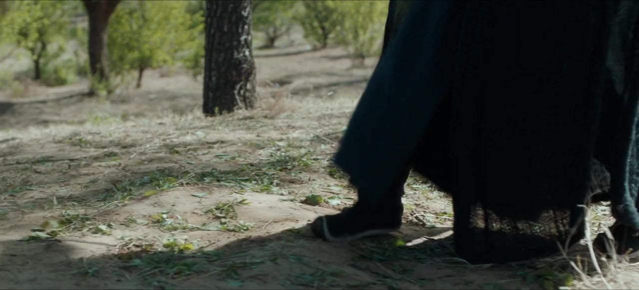 Da zhu jian shi screenshot 3