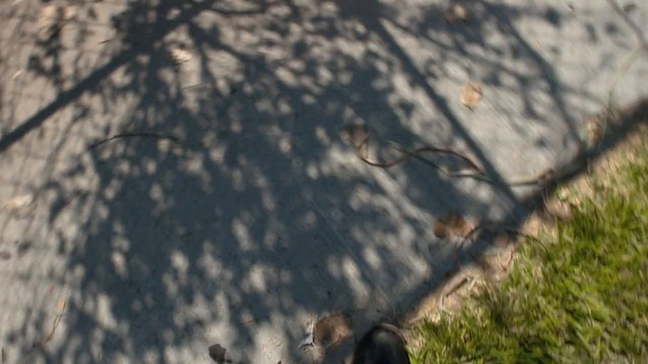 sxtape screenshot 1