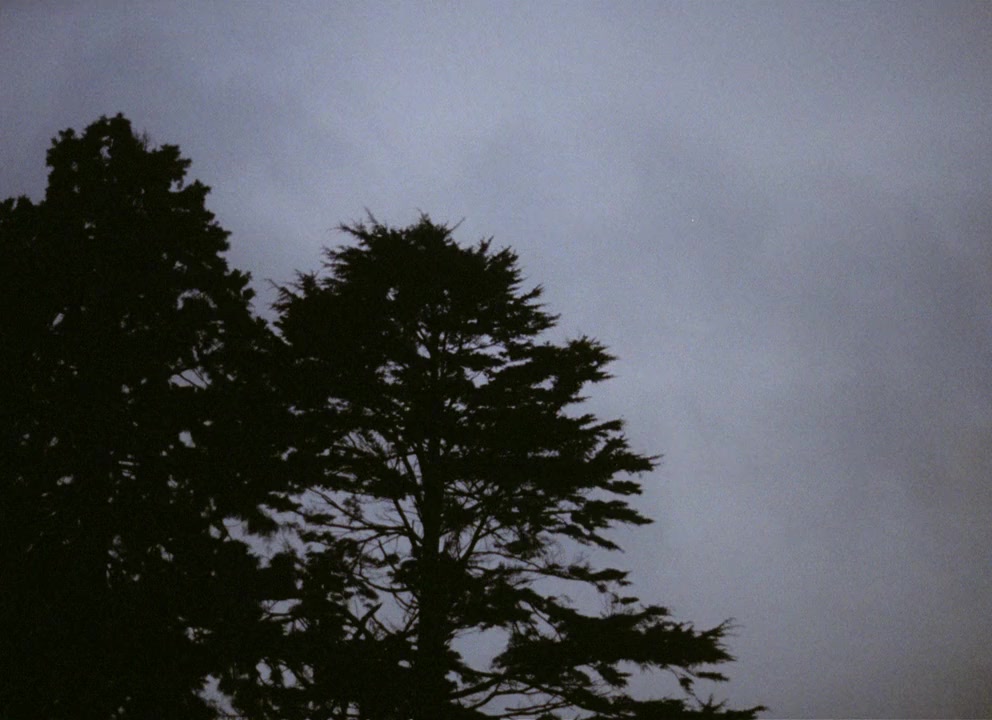 Symptoms screenshot 2
