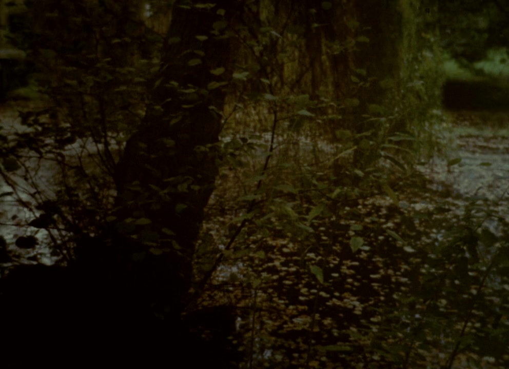 Symptoms screenshot 3