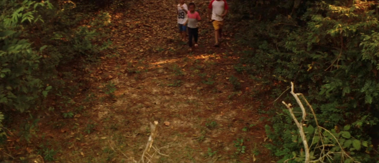 P screenshot 2