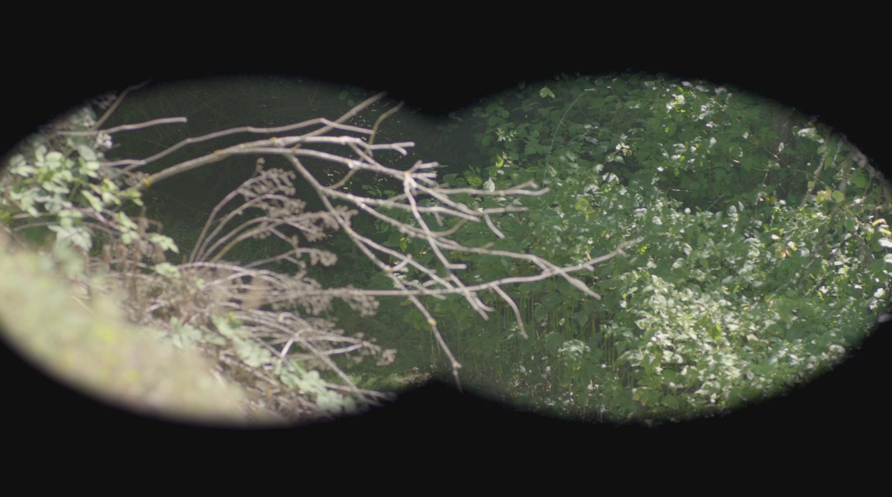 Point Defiance screenshot 2