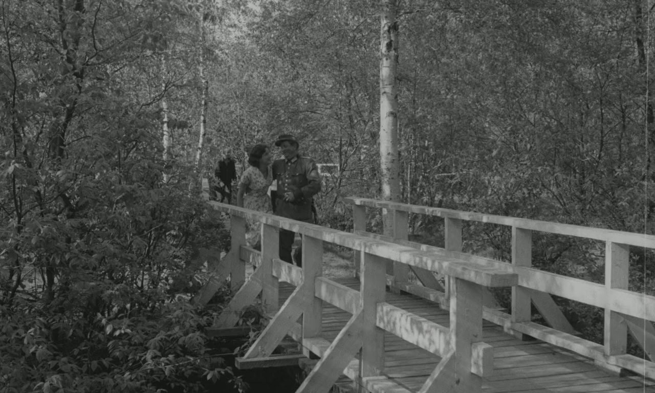 Pojat screenshot 1