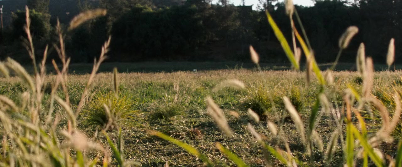 Pokémon: Detective Pikachu screenshot 2