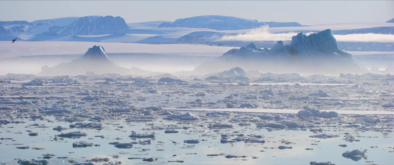 Polar Bear screenshot 1