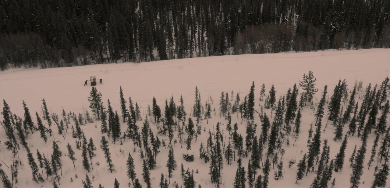 Polaris screenshot 2