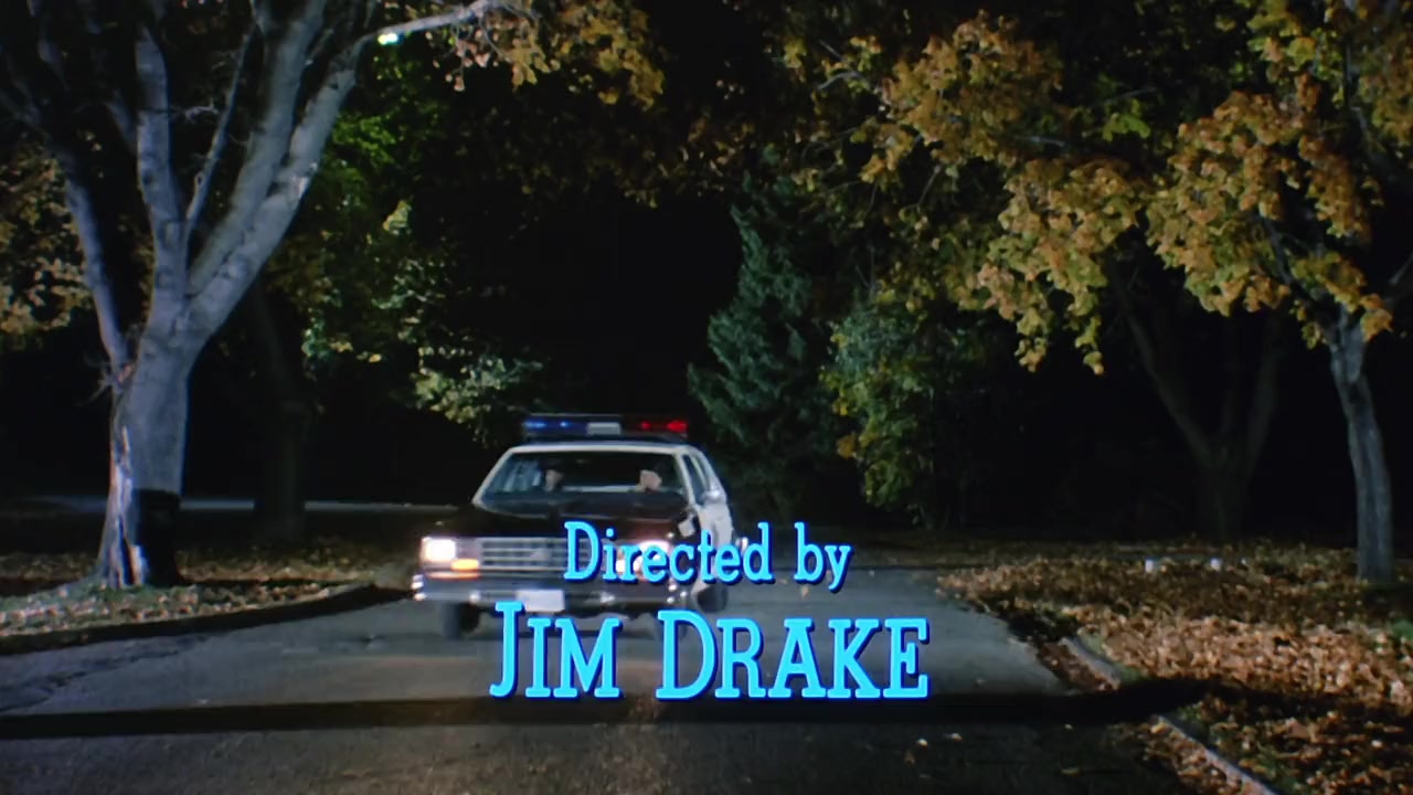 Police Academy 4: Citizens on Patrol screenshot 3