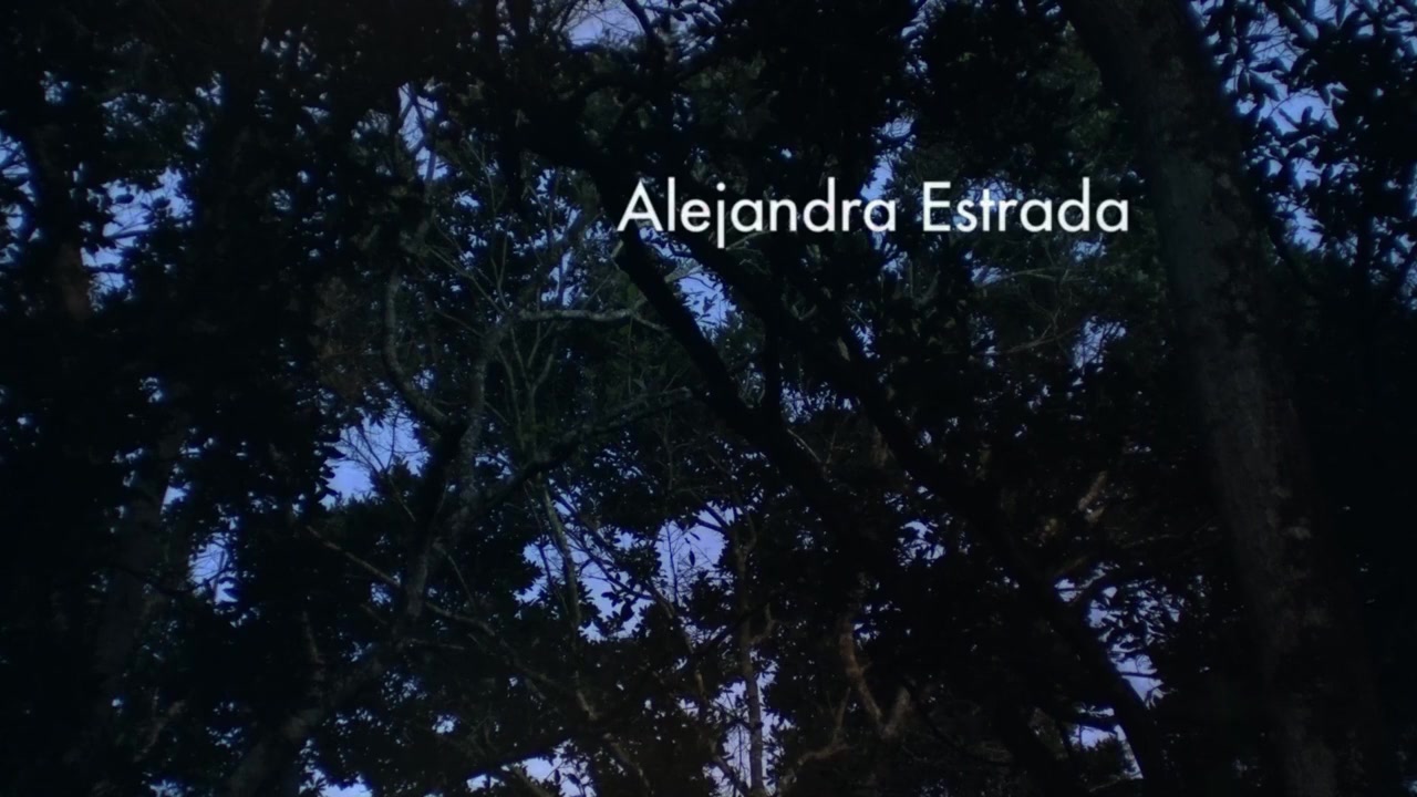 Polvo screenshot 1