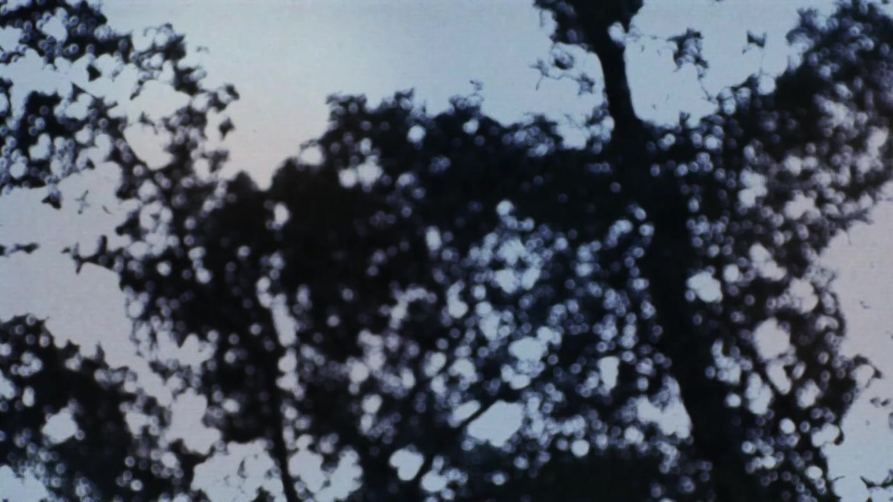 Polvo screenshot 2