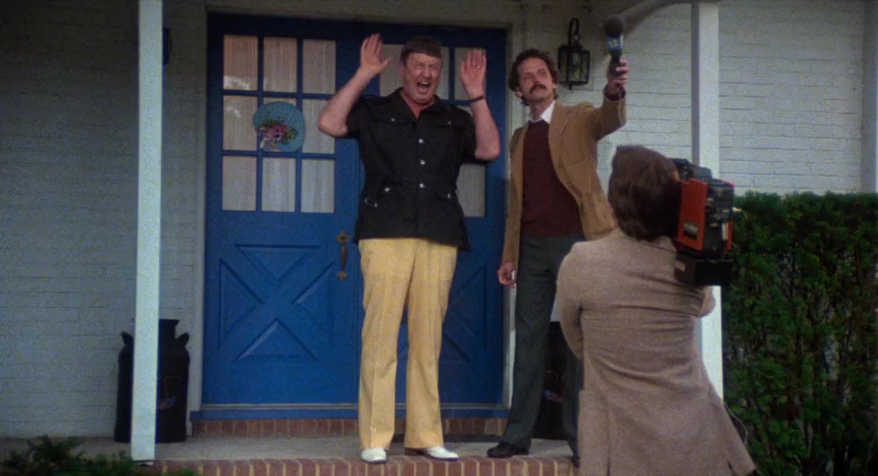 Polyester screenshot 2