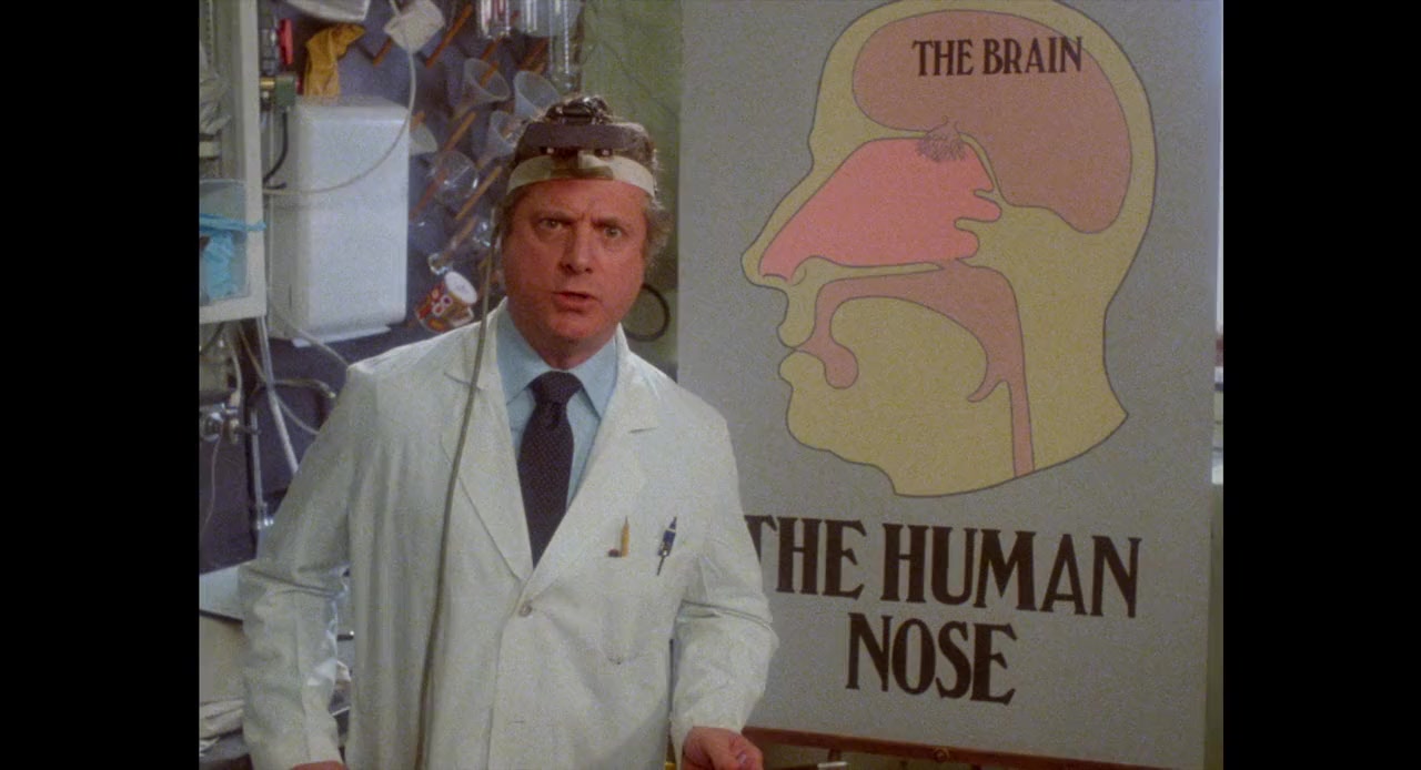Polyester screenshot 3