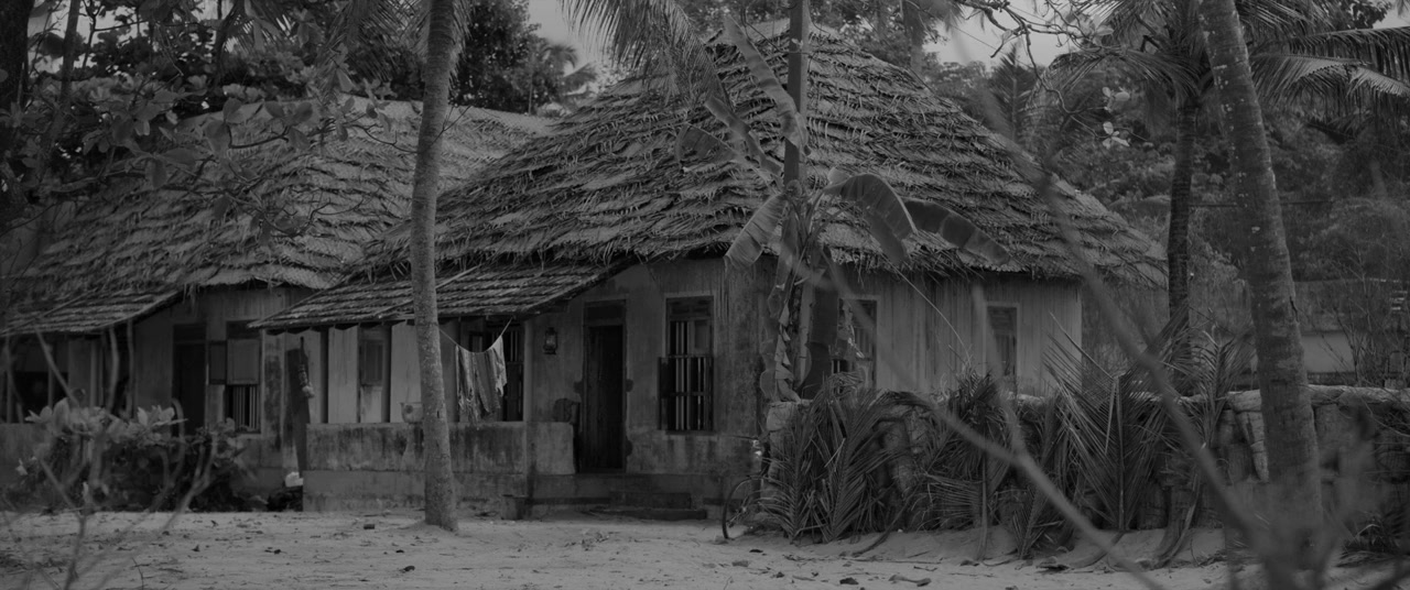 Pongala screenshot 2