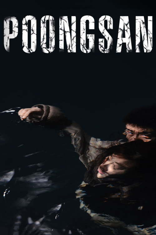 Poongsan gae (2011) poster