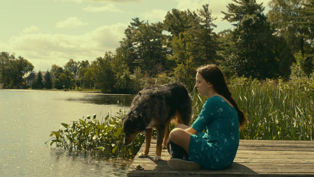 Porcupine Lake screenshot 3
