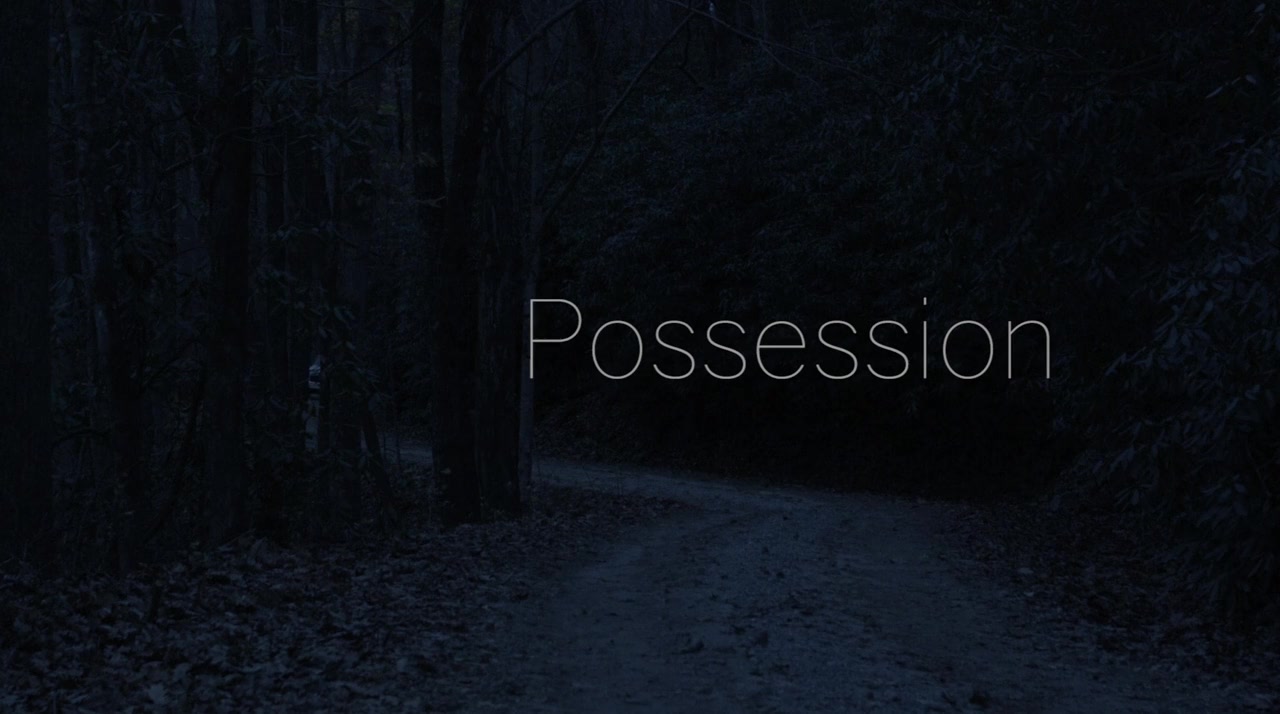 Possession screenshot 3