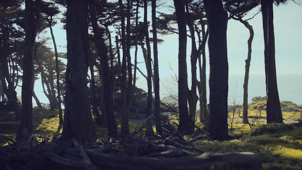 Possession of Mara screenshot 2