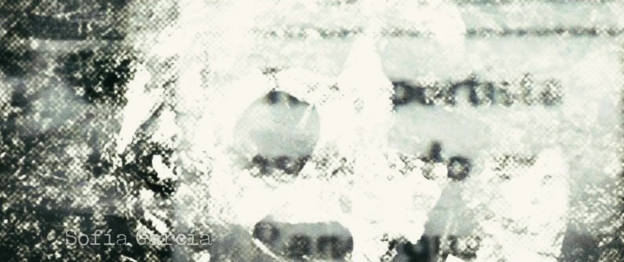 Sendero screenshot 2