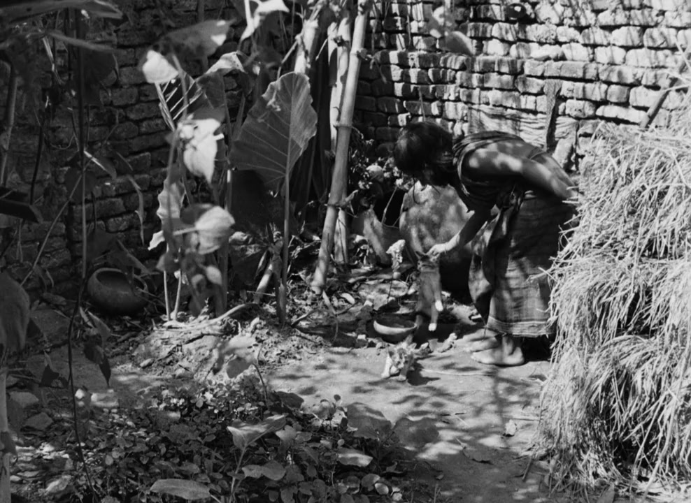 Pather Panchali screenshot 1