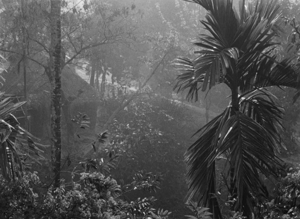 Pather Panchali screenshot 2