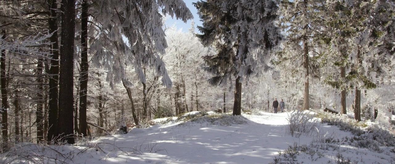 Ein Weg screenshot 1