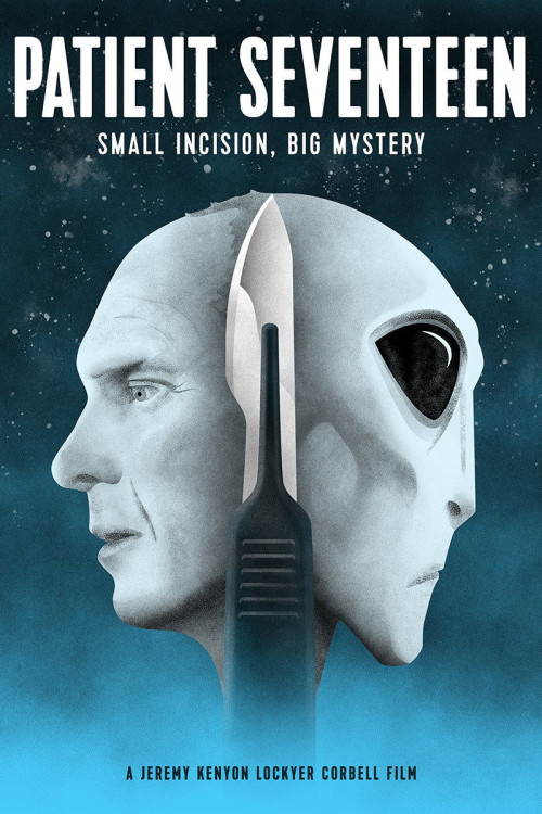 Patient Seventeen (2017) poster
