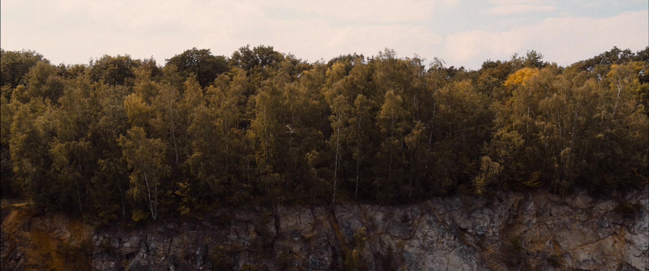 De Patrick screenshot 1