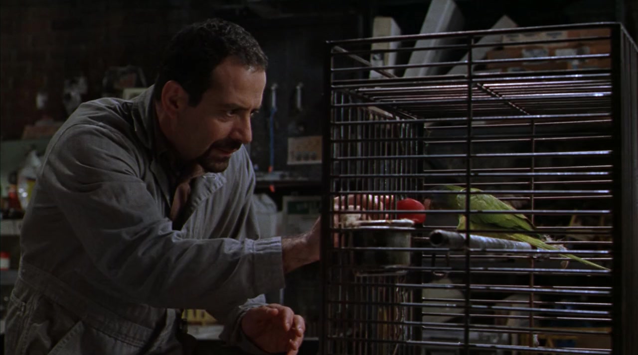 Paulie screenshot 2