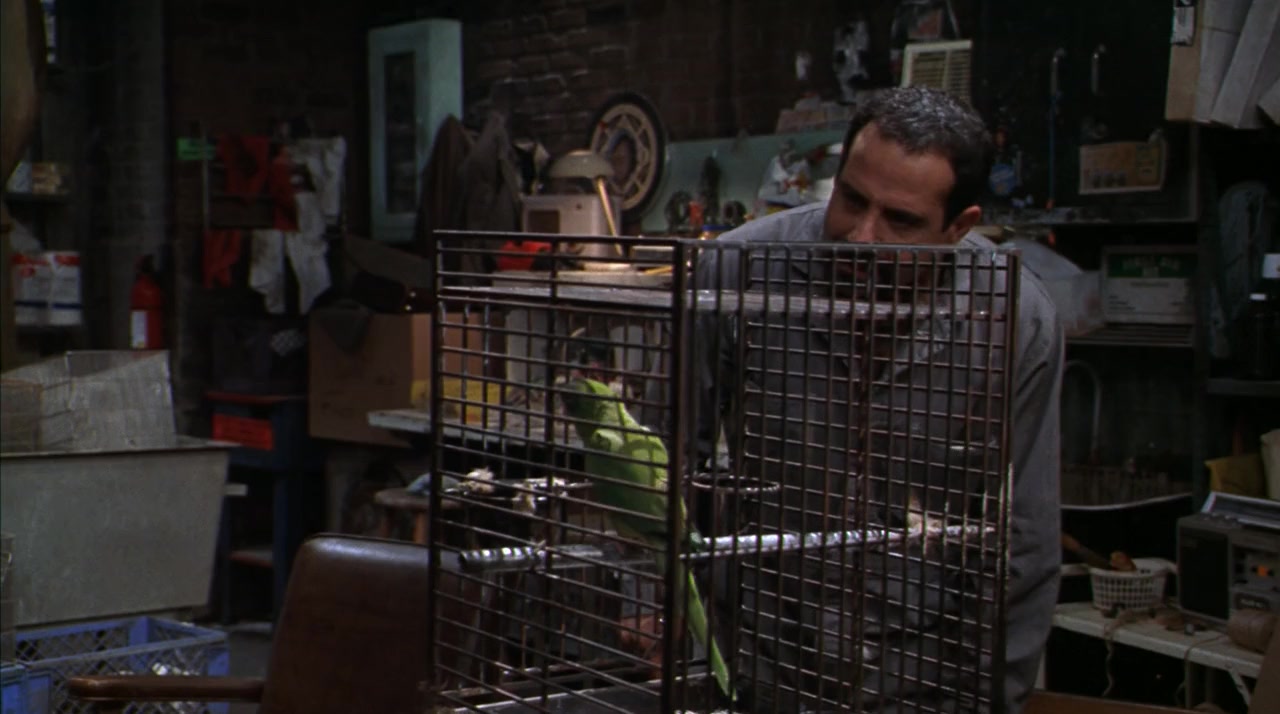 Paulie screenshot 3