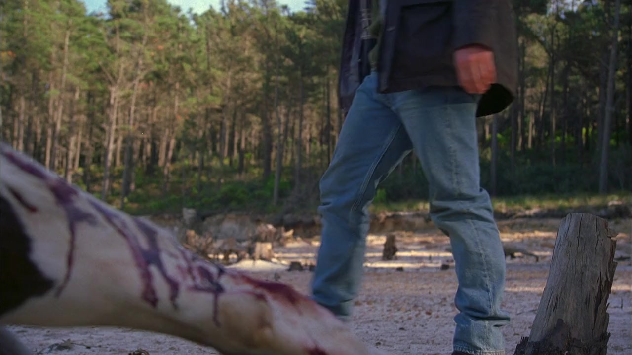 Pavement screenshot 3
