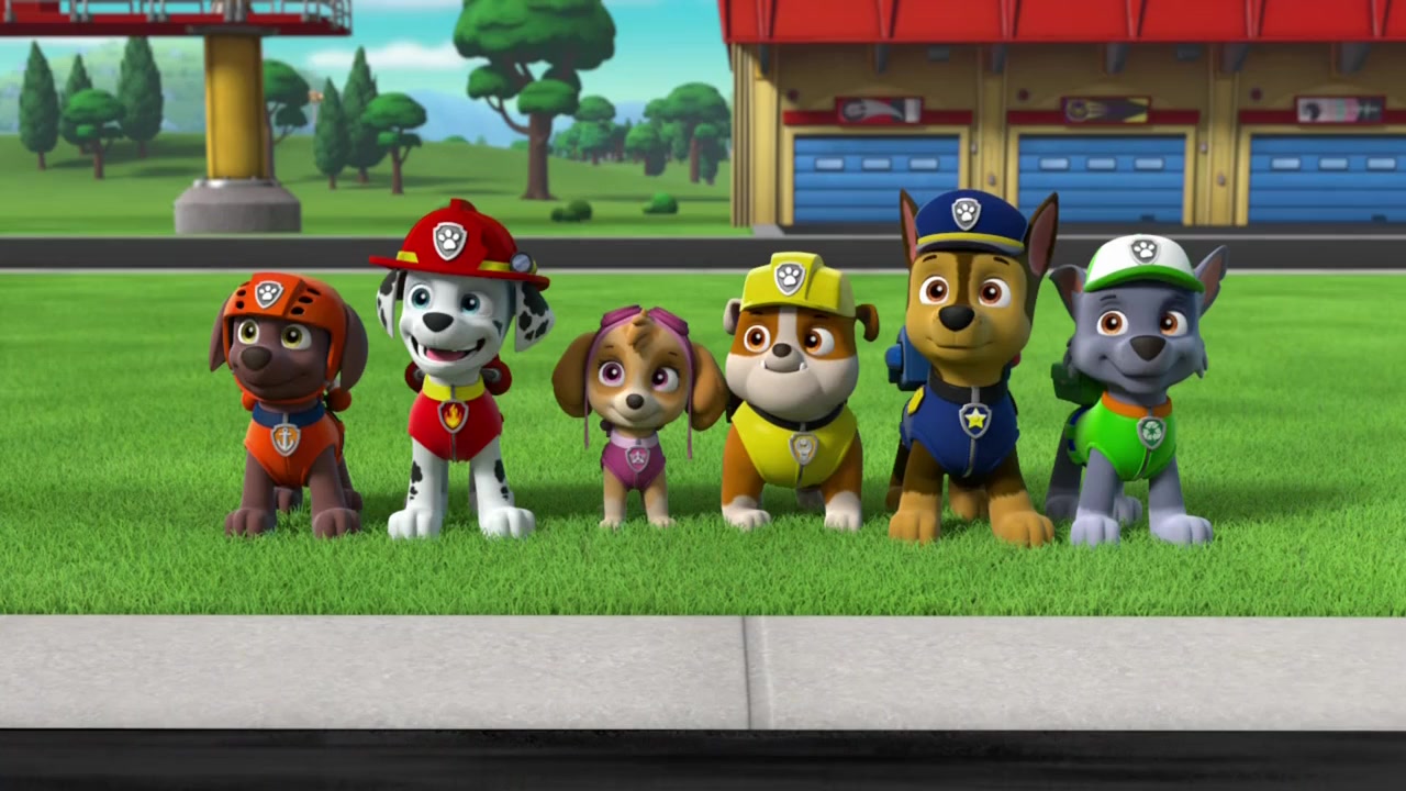 Paw Patrol: Ready, Race, Rescue! screenshot 1