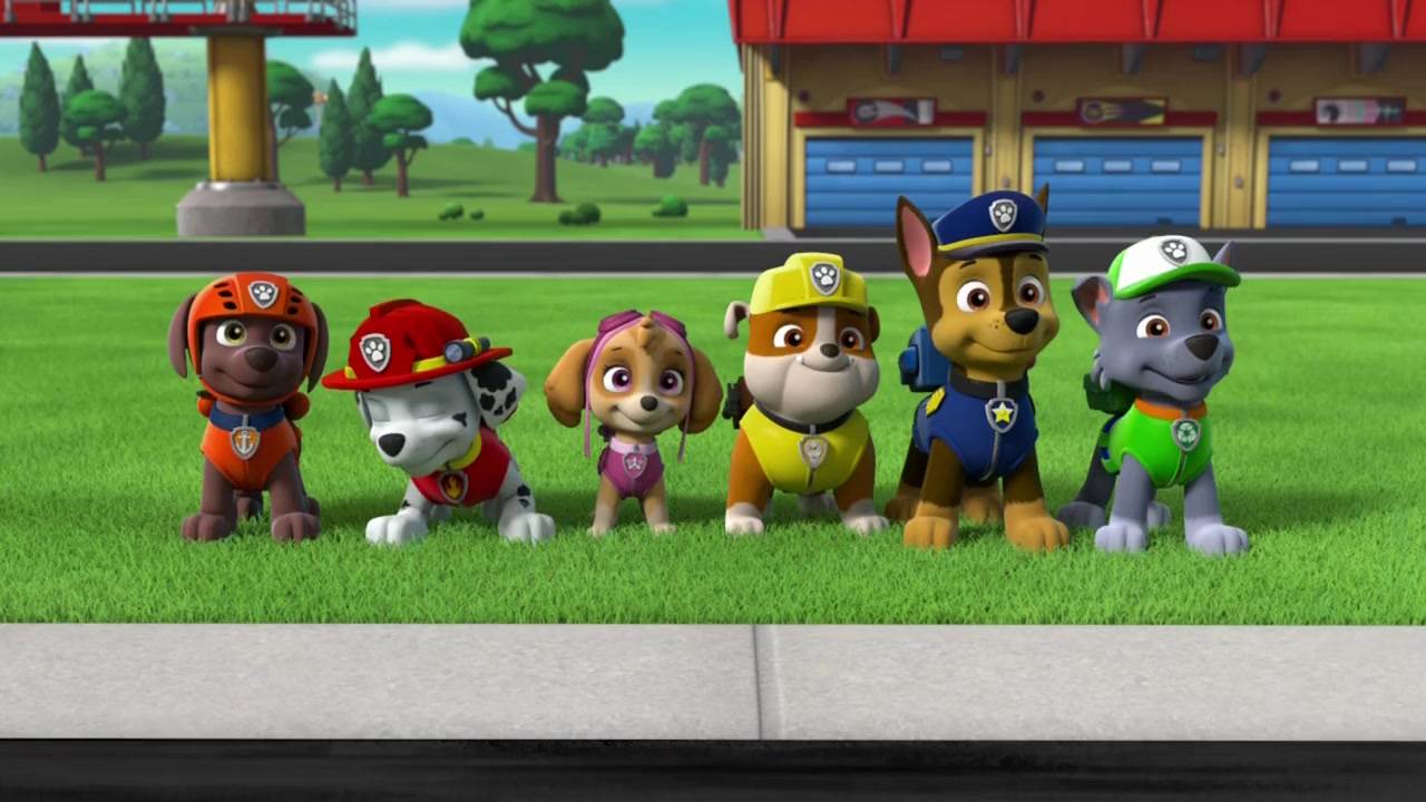 Paw Patrol: Ready, Race, Rescue! screenshot 2