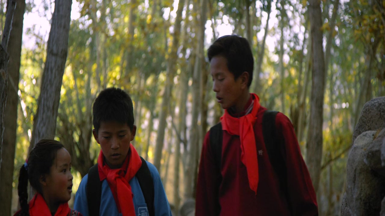 Pawo screenshot 3