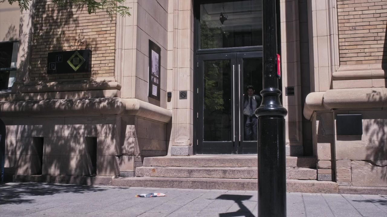 Paws in the City screenshot 1