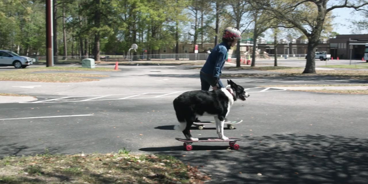 Paws P.I. screenshot 1