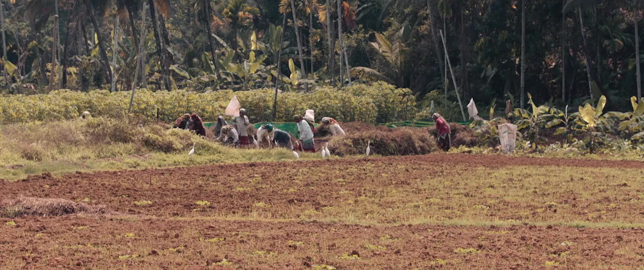 Padavettu screenshot 1