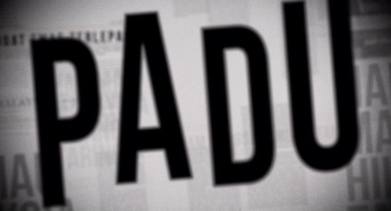 Padu screenshot 2