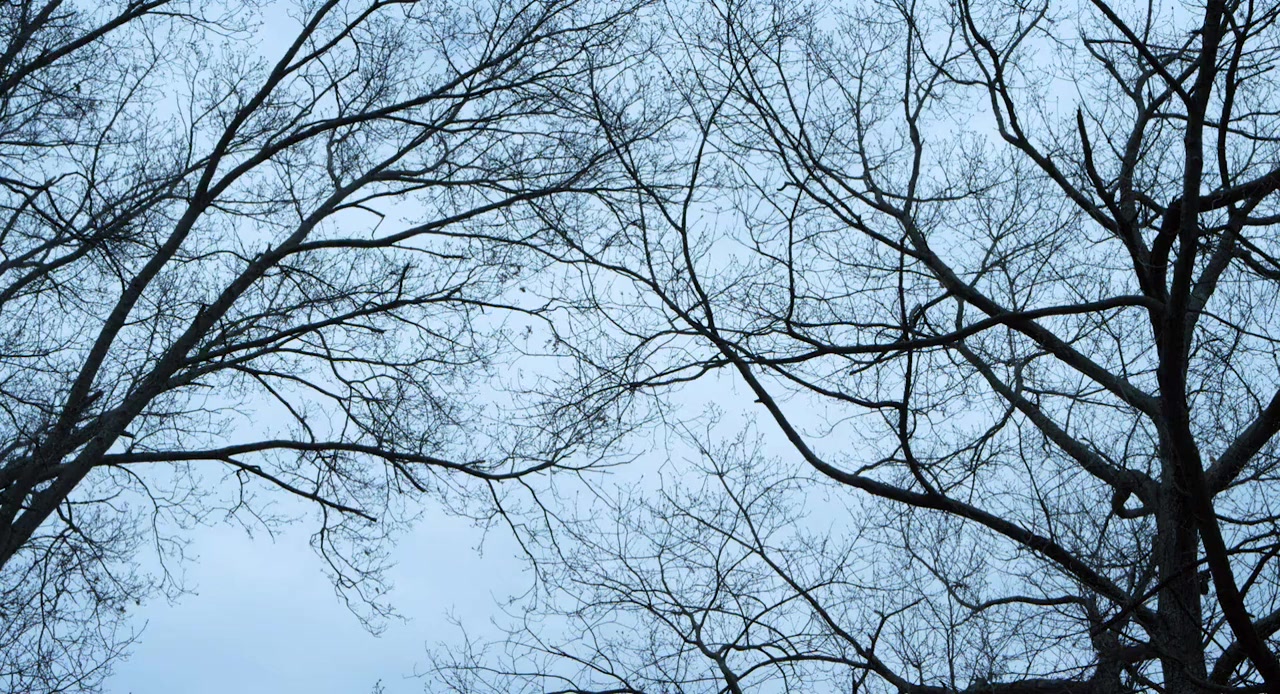 Painless screenshot 1