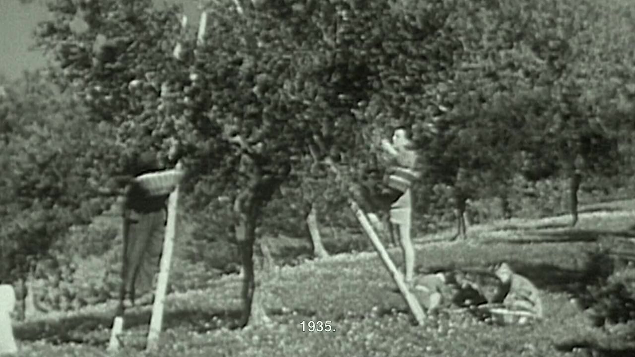 Palazzo Di Cozzo screenshot 2