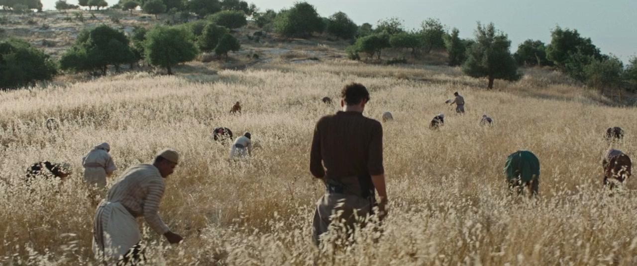 Palestine 36 screenshot 1