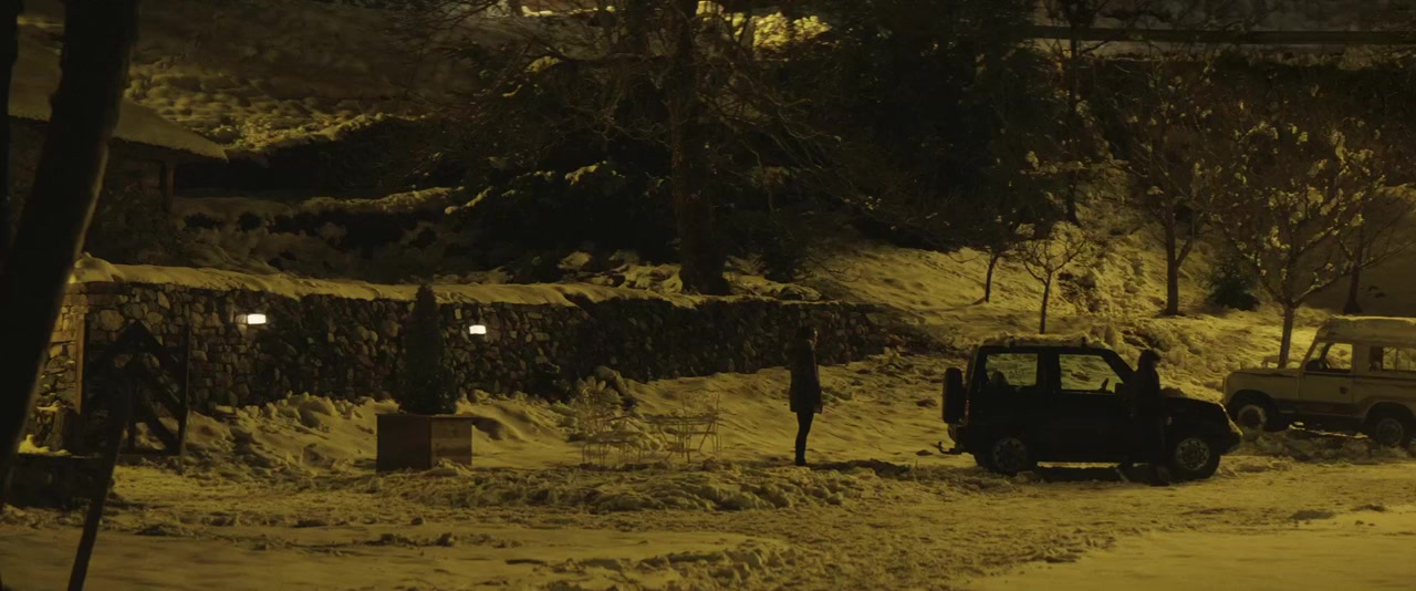 Palmeras en la nieve screenshot 3