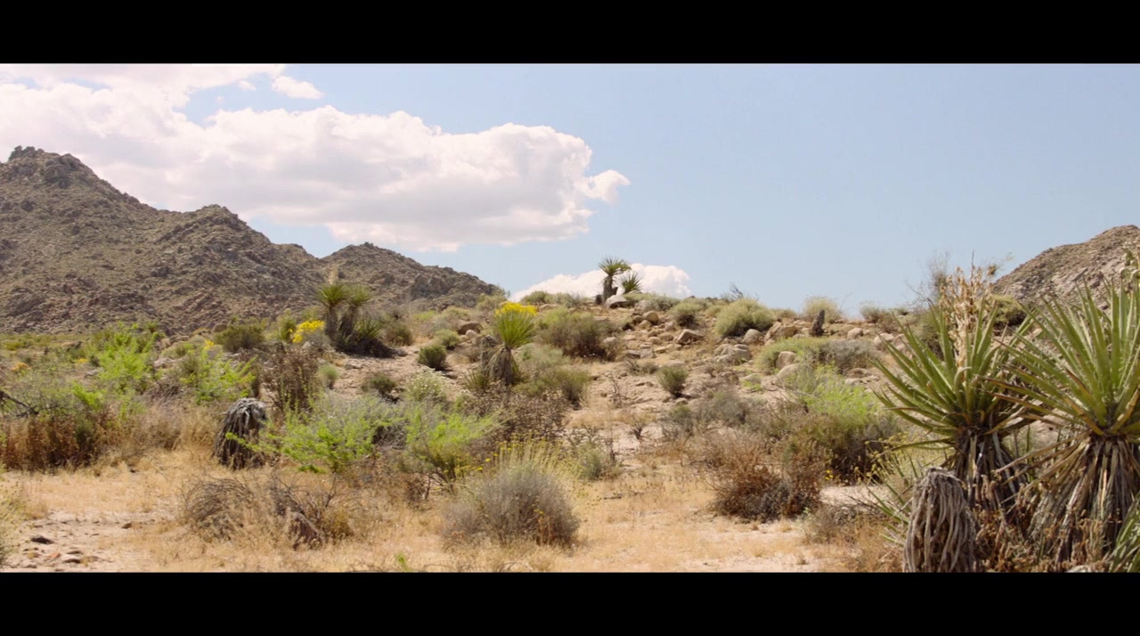 Palm Springs screenshot 2