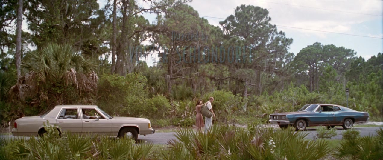 Palmetto screenshot 1