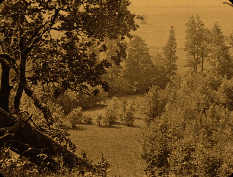 Pan Tadeusz screenshot 1