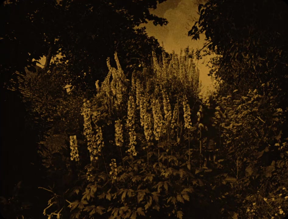 Pan Tadeusz screenshot 2
