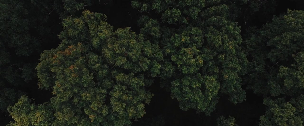 Pandorica screenshot 2