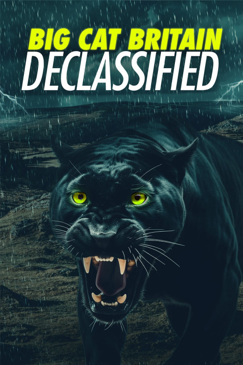Panthera Britannia Declassified/Big Cat Britain Declassified (2023) poster