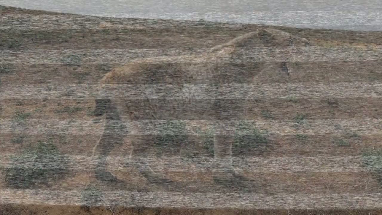 Panthera Britannia Declassified/Big Cat Britain Declassified screenshot 3