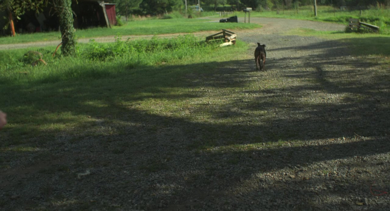 Papaw Land screenshot 1