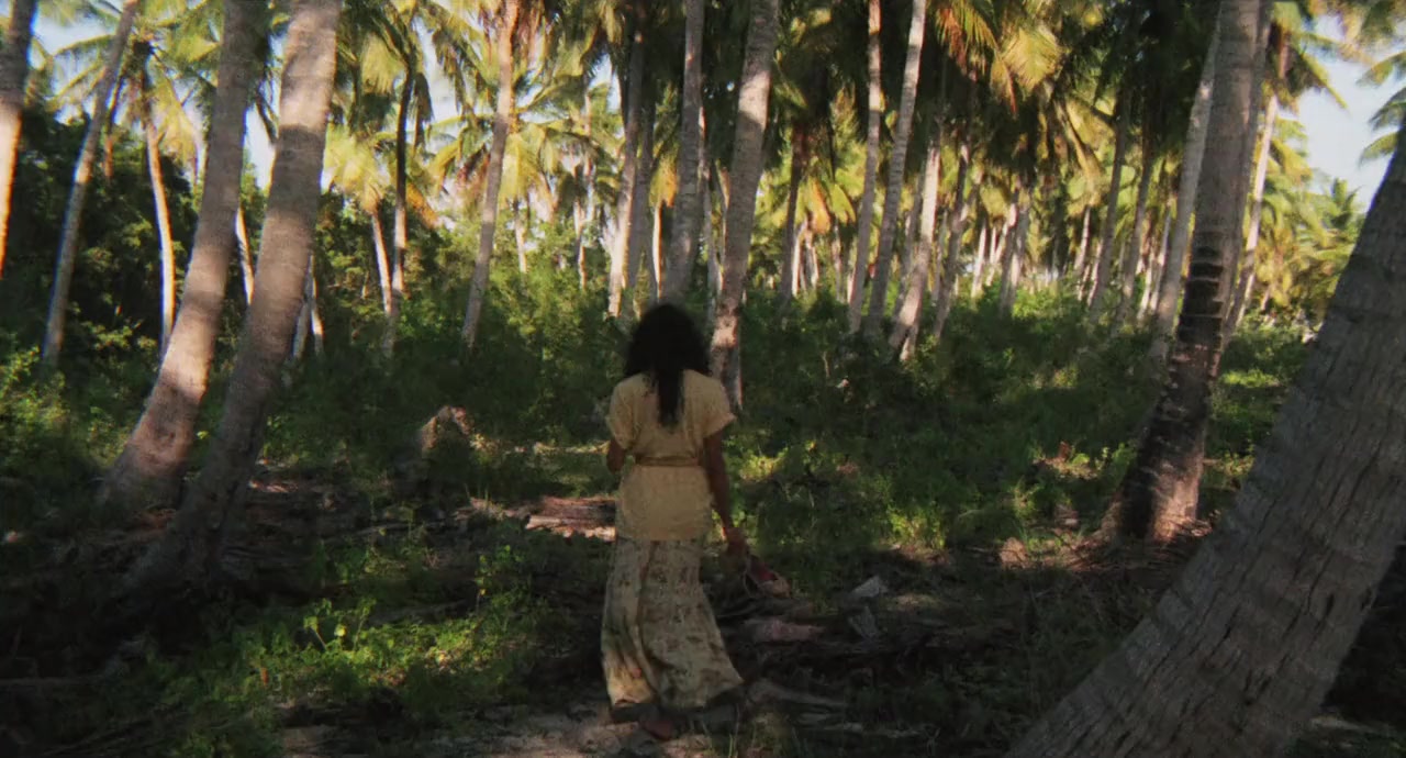 Papaya dei Caraibi screenshot 1