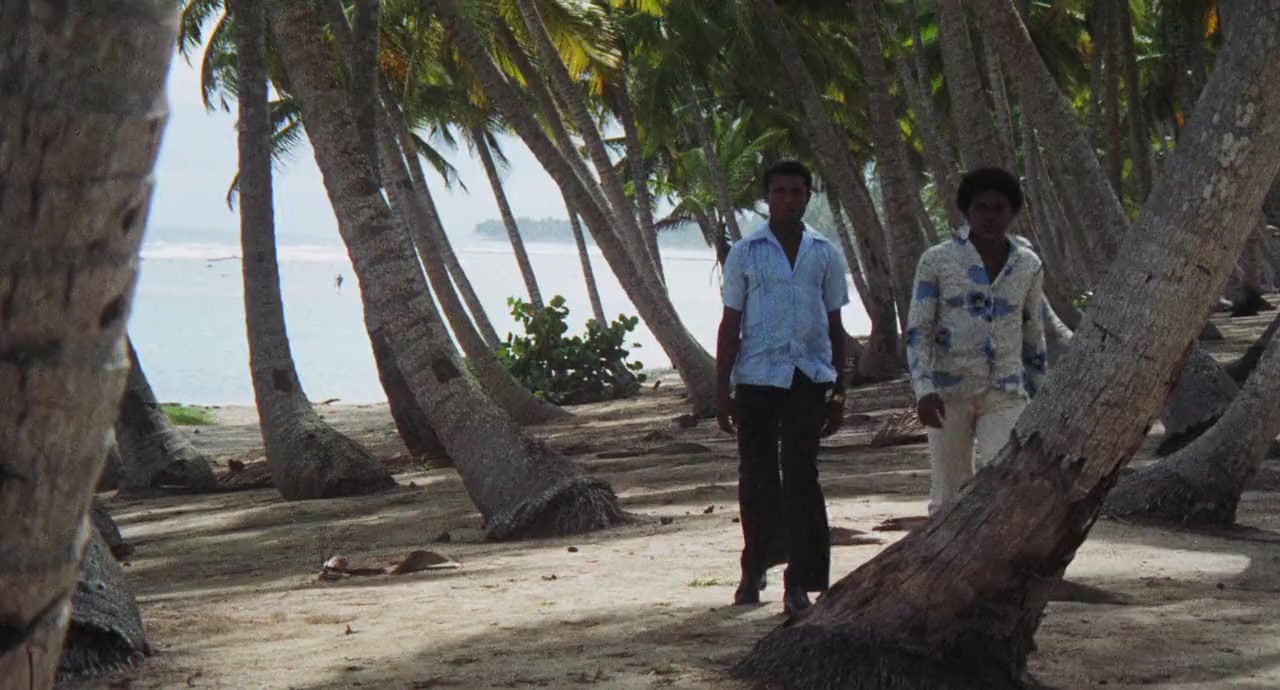 Papaya dei Caraibi screenshot 2